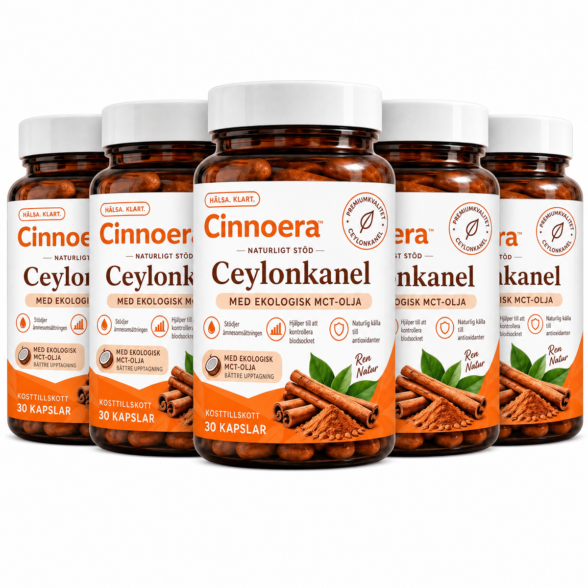Cinnoera